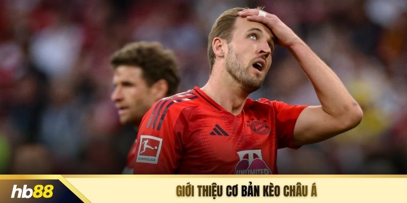 Giới thiệu cơ bản kèo châu Á